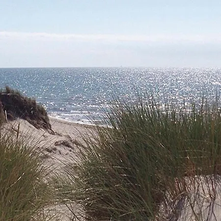 Vogelsang, Fw 2 Appartamento Zingst